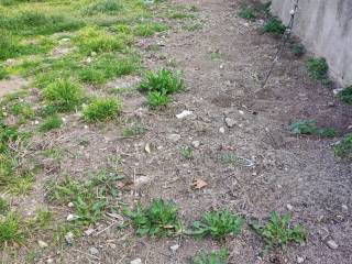 Εξωτερική άποψη