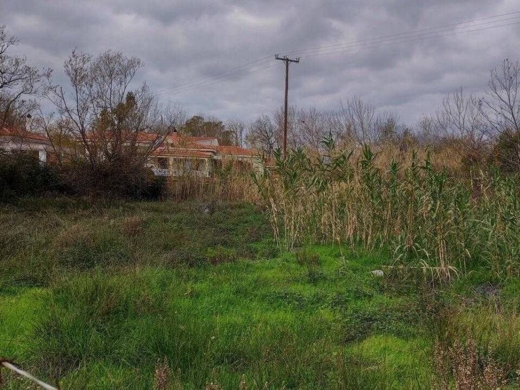 Εξωτερική άποψη