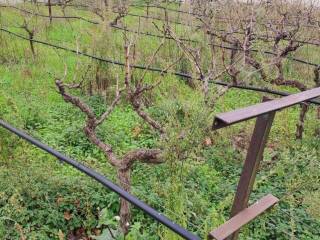 Εξωτερική άποψη