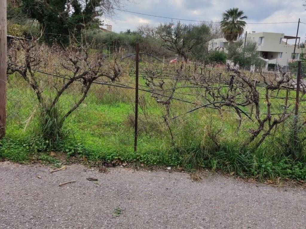 Εξωτερική άποψη