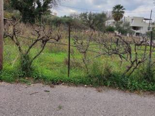 Εξωτερική άποψη