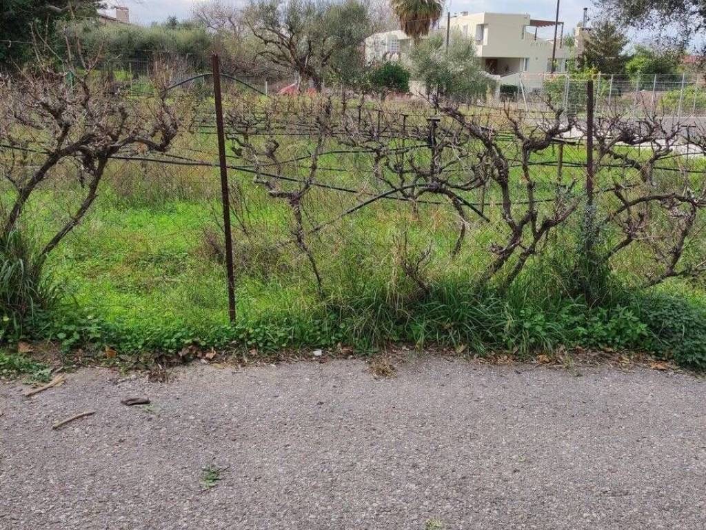 Εξωτερική άποψη