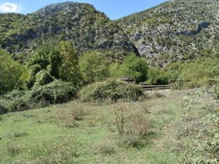 ΑΠΟΨΗ ΟΙΚΟΠΕΔΟΥ