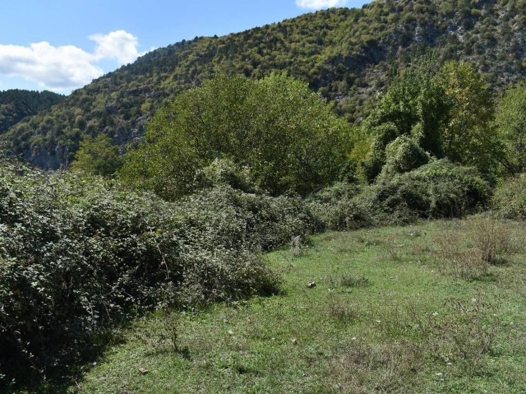 ΑΠΟΨΗ ΟΙΚΟΠΕΔΟΥ