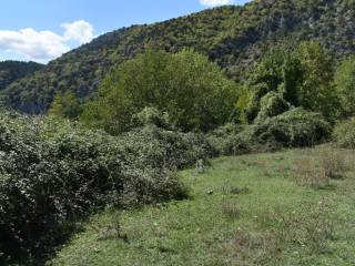 ΑΠΟΨΗ ΟΙΚΟΠΕΔΟΥ