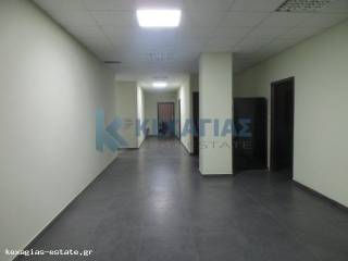 KOINOCHRESTOI CHOROI