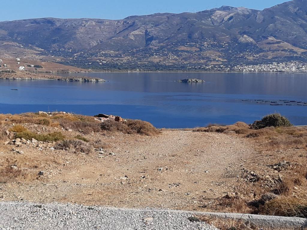 ΒΟΡΕΙΟΑΝΑΤΟΛΙΚΗ ΟΨΗ