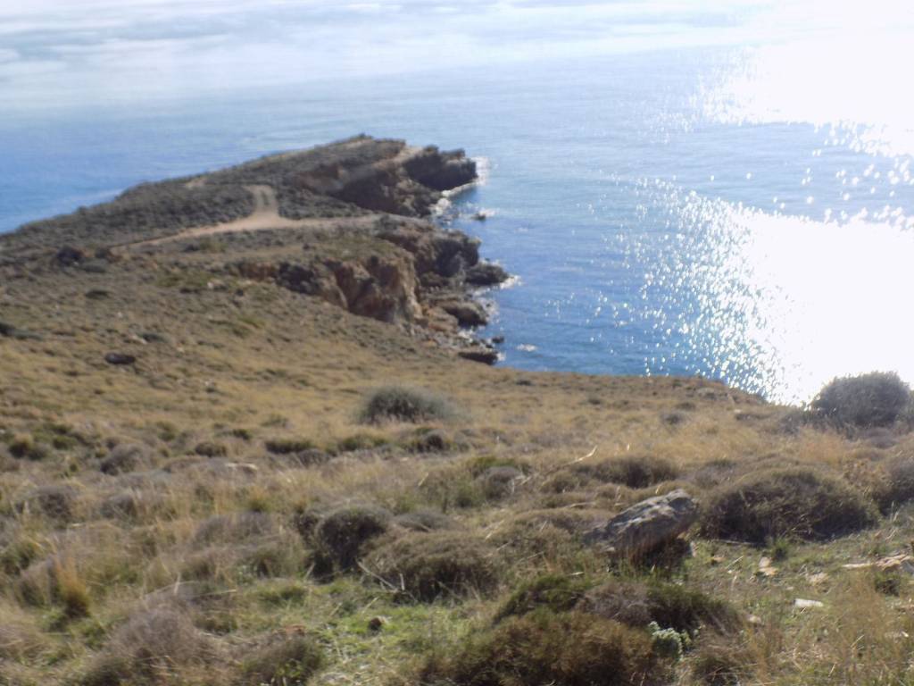 ΘΕΑ ΠΡΟΣ ΝΟΤΙΟΑΝΑΤΟΛΙΚΑ