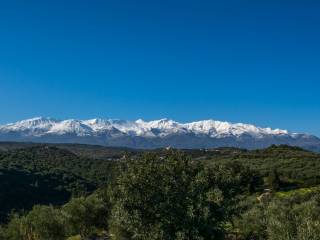 White mountains view