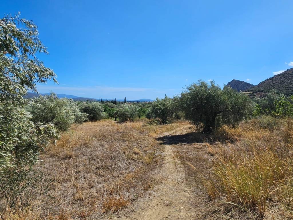 Plot for sale in Lefkakia