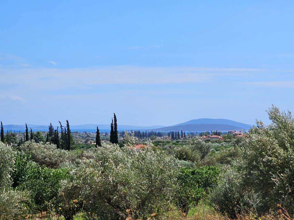 Plot for sale in Lefkakia