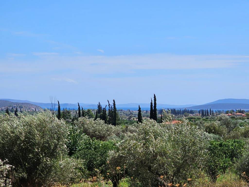 Plot for sale in Lefkakia