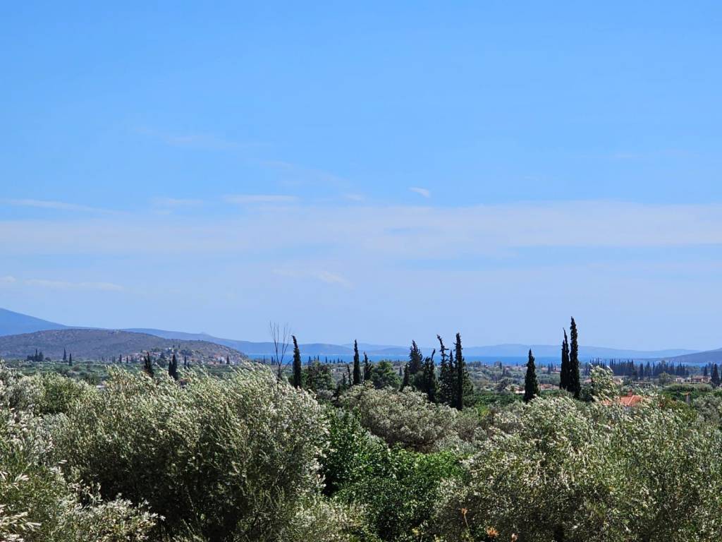 Plot for sale in Lefkakia