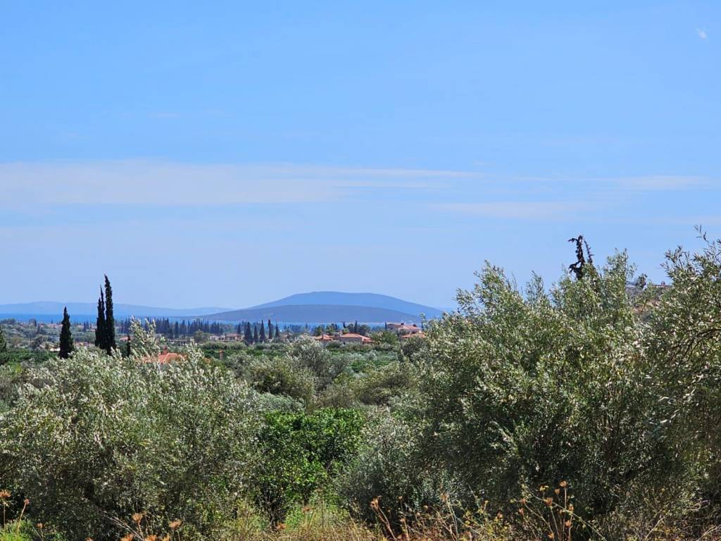 Plot for sale in Lefkakia