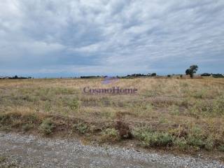 PROSBASE APO CHOMATODROMO