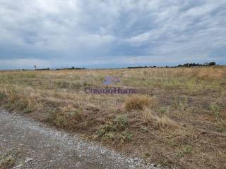 PROSBASE APO CHOMATODROMO