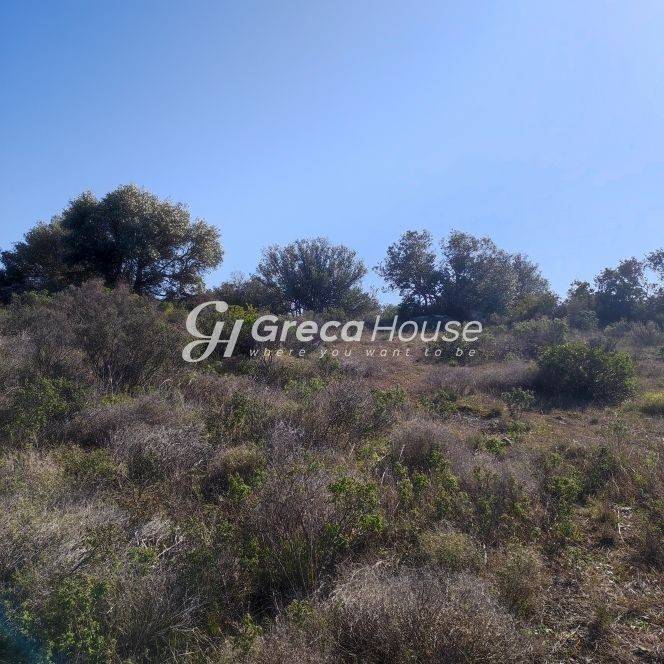 Plot on the sea for sale - Loutraki