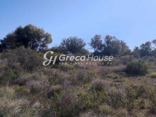 Plot on the sea for sale - Loutraki