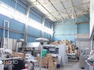 Forumland Real Estate, Επαγγελματικό κτίριο 850τ.μ.