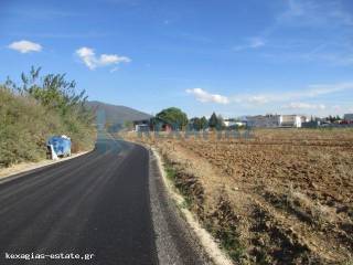 ΕΞΩΤΕΡΙΚΗ ΛΗΨΗ