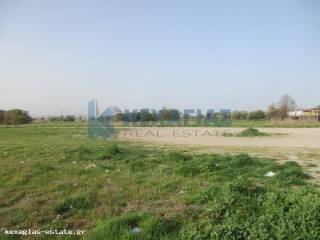 ΕΞΩΤΕΡΙΚΗ ΛΗΨΗ