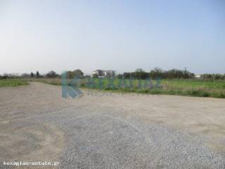 ΕΞΩΤΕΡΙΚΗ ΛΗΨΗ