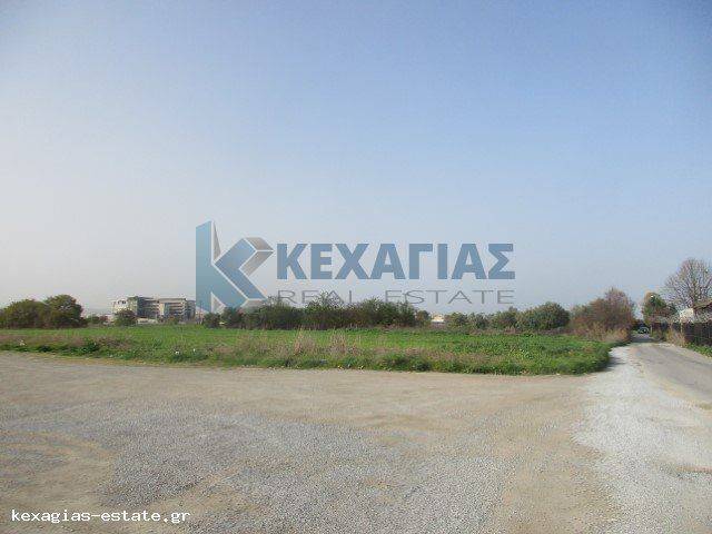 ΕΞΩΤΕΡΙΚΗ ΛΗΨΗ