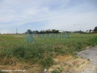 ΕΞΩΤΕΡΙΚΗ ΛΗΨΗ