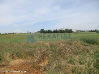 ΕΞΩΤΕΡΙΚΗ ΛΗΨΗ