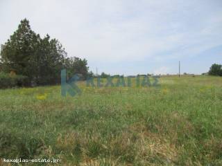 ΕΞΩΤΕΡΙΚΗ ΛΗΨΗ