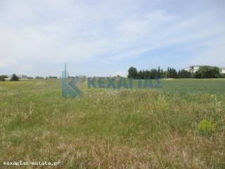 ΕΞΩΤΕΡΙΚΗ ΛΗΨΗ