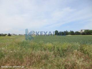 ΕΞΩΤΕΡΙΚΗ ΛΗΨΗ