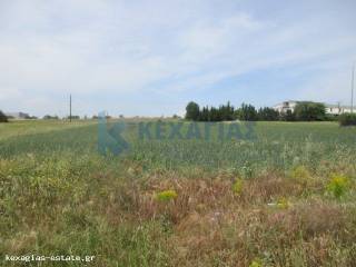 ΕΞΩΤΕΡΙΚΗ ΛΗΨΗ