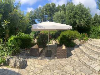 Panoramic view of the backyard