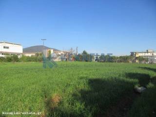 ΕΞΩΤΕΡΙΚΗ ΛΗΨΗ