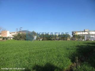 ΕΞΩΤΕΡΙΚΗ ΛΗΨΗ