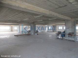 ΕΣΩΤΕΡΙΚΗ ΛΗΨΗ