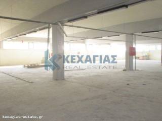 ΕΣΩΤΕΡΙΚΗ ΛΗΨΗ