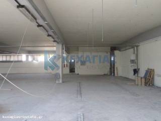 ΕΣΩΤΕΡΙΚΗ ΛΗΨΗ