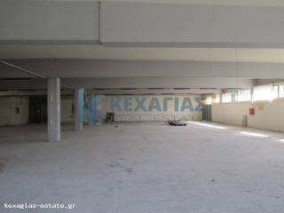 ΕΣΩΤΕΡΙΚΗ ΛΗΨΗ