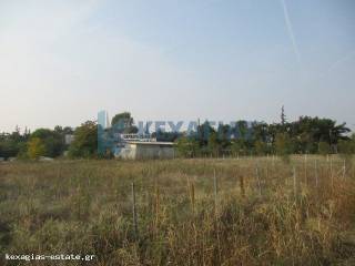 ΕΞΩΤΕΡΙΚΗ ΛΗΨΗ