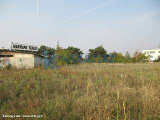 ΕΞΩΤΕΡΙΚΗ ΛΗΨΗ