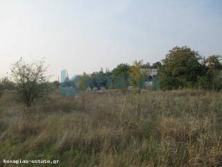 ΕΞΩΤΕΡΙΚΗ ΛΗΨΗ