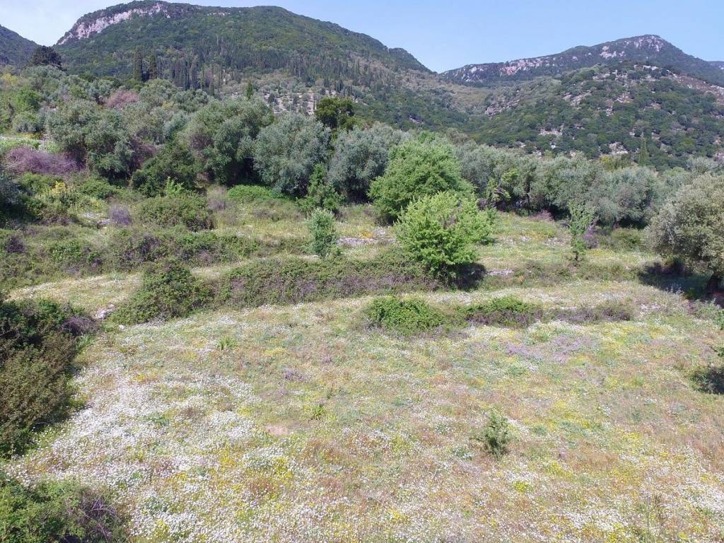 Landscape and terrain of land for sale