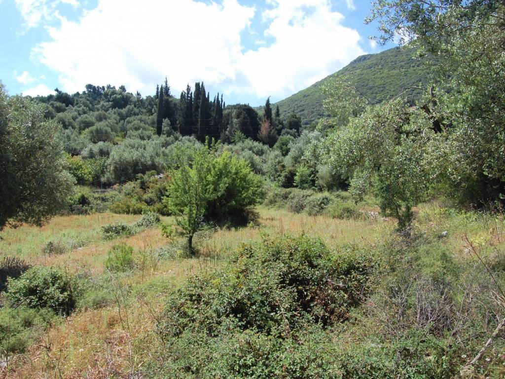 Landscape and terrain of land for sale