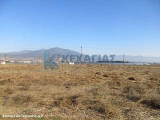 ΕΞΩΤΕΡΙΚΗ ΛΗΨΗ