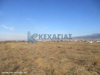 ΕΞΩΤΕΡΙΚΗ ΛΗΨΗ