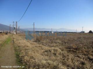 ΕΞΩΤΕΡΙΚΗ ΛΗΨΗ