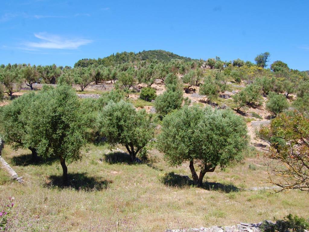 Landscape of land