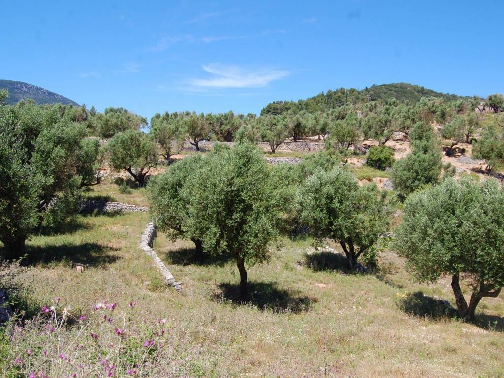 Landscape of land